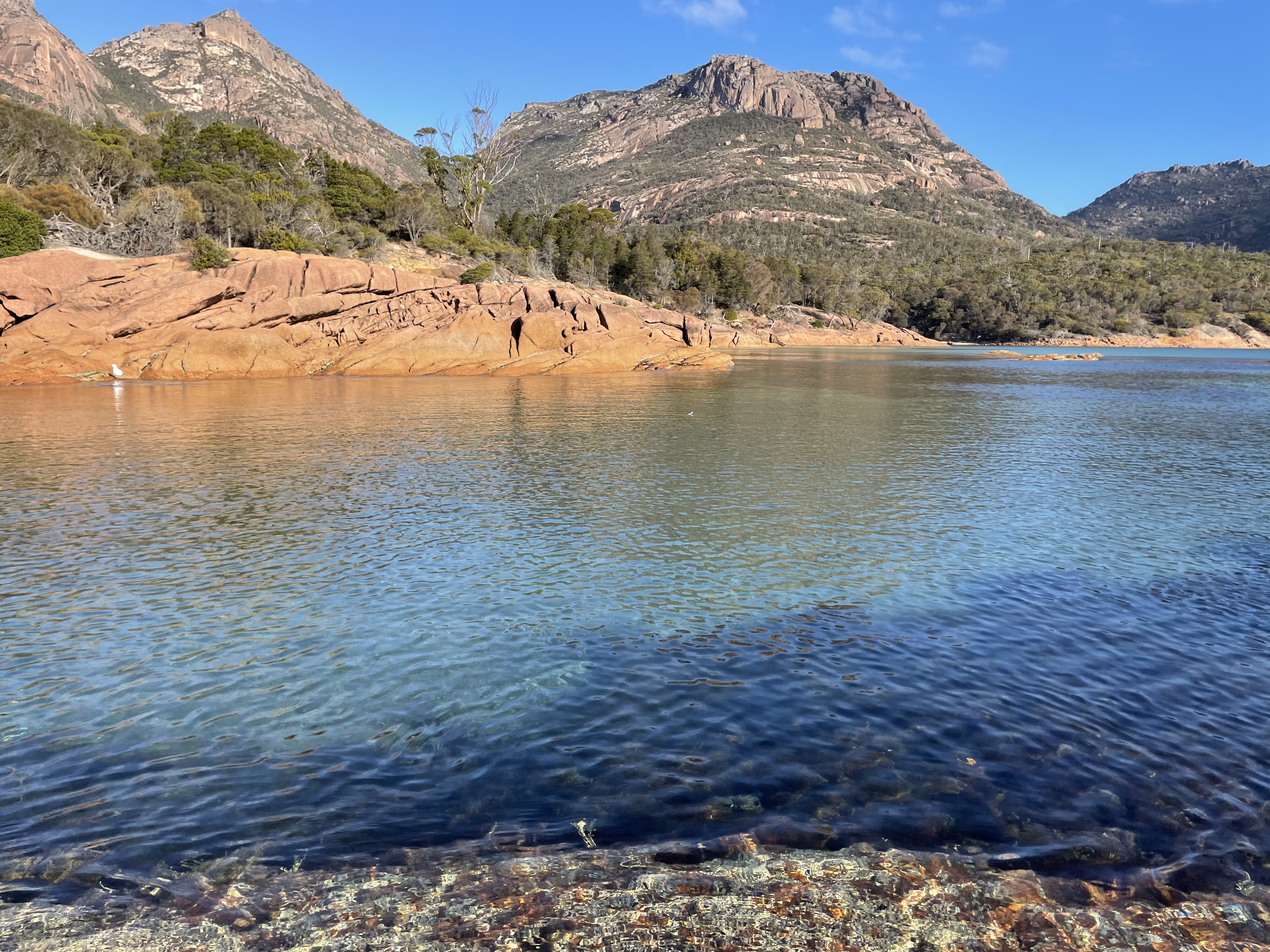 Freycinet